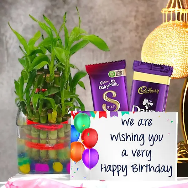 Birthday Celebration Gift Combo