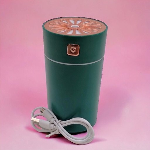 [SP-10541] Rainbow Air Green/ Black Humidifier 