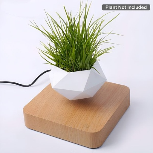 [SP-10575] Levitating Bonsai Pot (11372) 